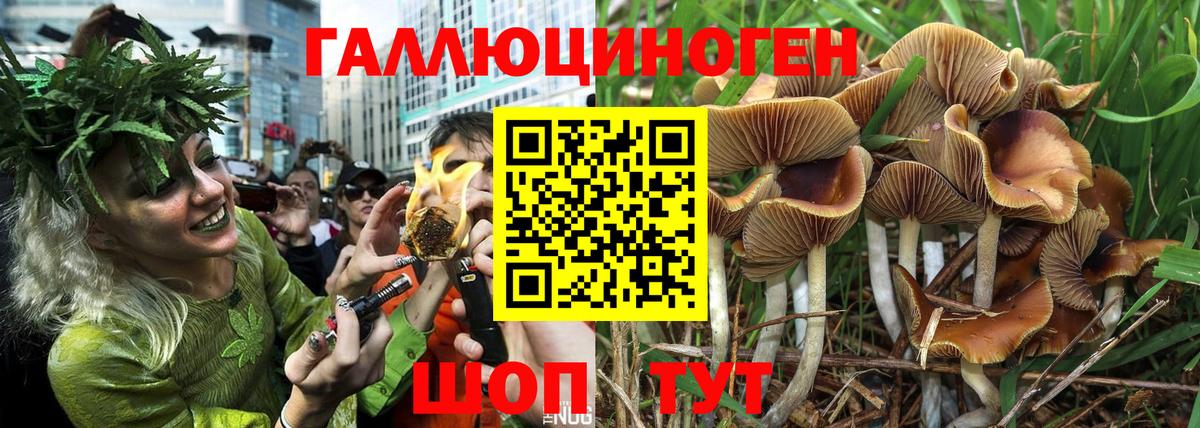 Галлюциногенные грибы GOLDEN TEACHER Курчатов