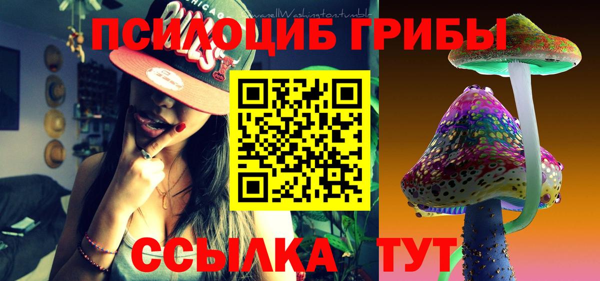 Курчатов  Галлюциногенные грибы ЛСД  Вход с VPN  Псилоцибиновые грибы ЛСД 